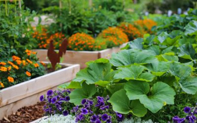 Maximizing Small Spaces: Tips for Urban Gardening